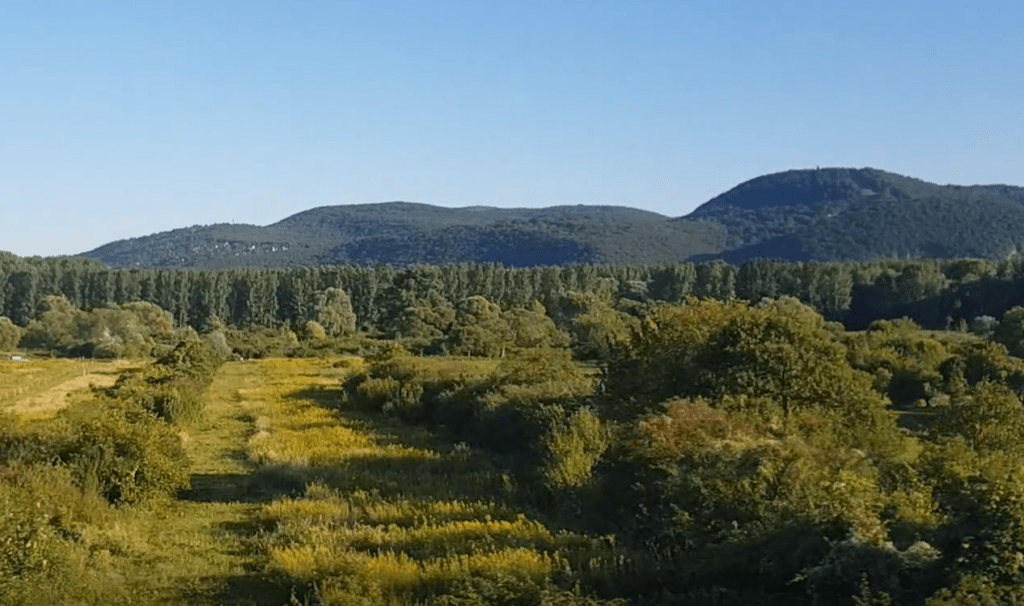 Landschaft zwischen Bratislava und Budapest: Wald und Hühel